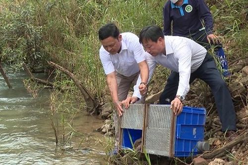 Rừng di sản là nơi ở mới của nhiều động vật hoang dã chuyển tới từ thủ đô