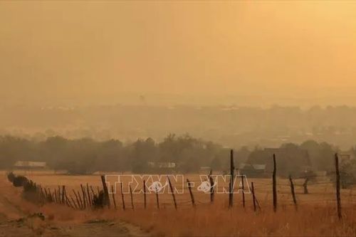 Nguy cơ cháy rừng lan rộng tại bang New Mexico của Mỹ