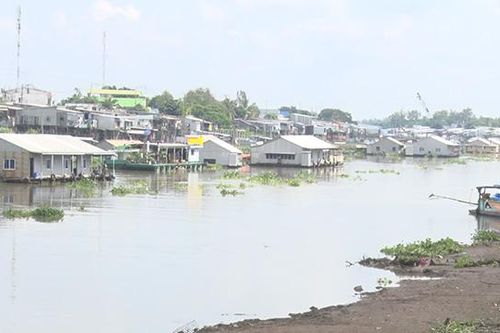 Thủy triều xuống thấp, hộ nuôi cá lồng bè gặp khó khăn
