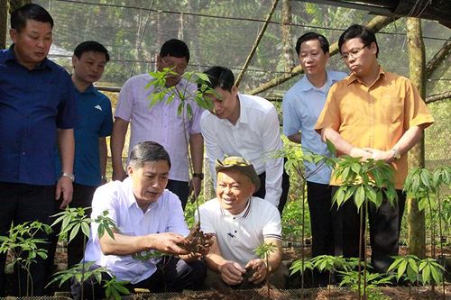 Sơn La tăng cường thu hút đầu tư phát triển bền vững