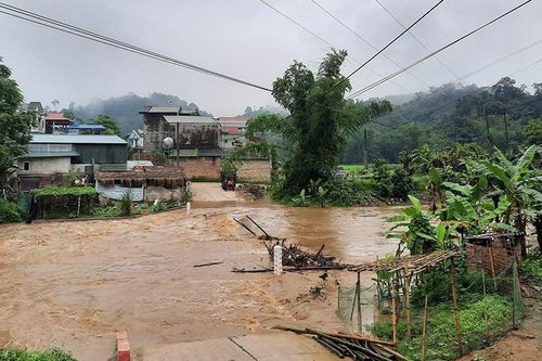 Gần 100 ha lúa, hoa màu ở Bắc Kạn bị ngập