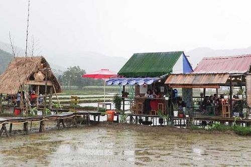 Nhiều khu du lịch sinh thái tự phát 'mọc' trên đất nông nghiệp