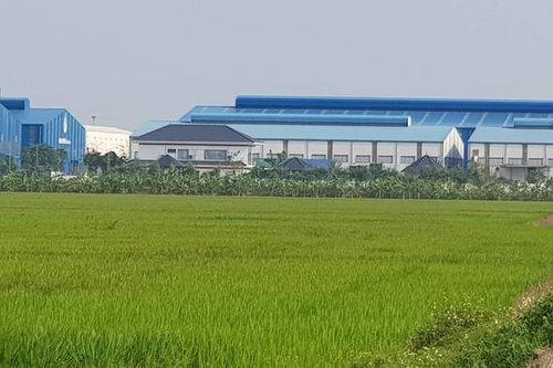 Biệt thự xây trên đất nông nghiệp ở Hải Dương: Huyện Gia Lộc yêu cầu tháo dỡ