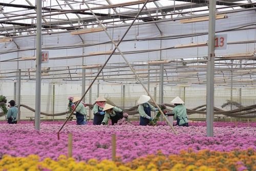 Nông dân Tây Nguyên với chuyển đổi số