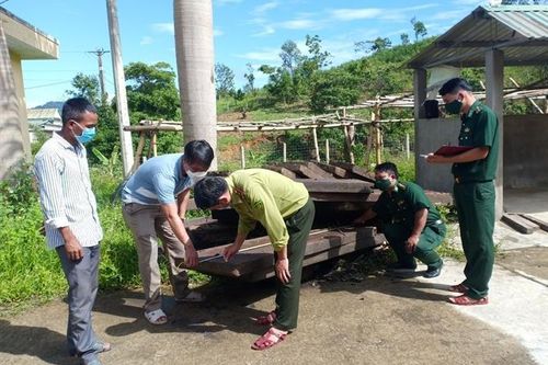 Phát hiện xe ô tô tải vận chuyển 22 phách gỗ trái phép