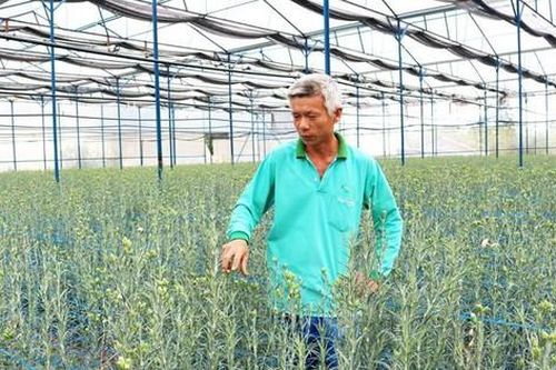 Hiệu quả từ phong trào cựu binh giúp nhau thoát nghèo