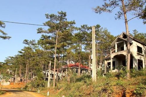 Kon Tum: Chuyển công an điều tra vụ làm dự án biệt thự trên đất rừng