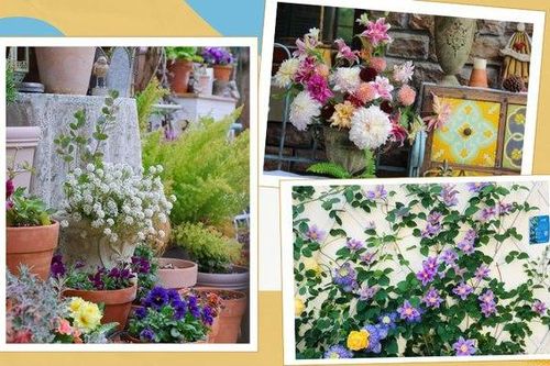 Từ ban công 16m2 ngập hoa đến khu vườn rực rỡ rộng 200m2 ai ngắm cũng mê
