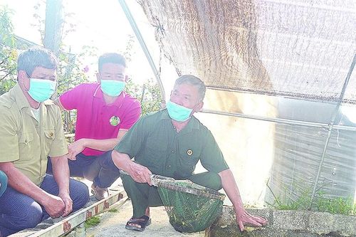 Tỏa sáng phẩm chất Bộ đội Cụ Hồ