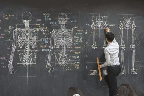 Mê vẽ giải phẫu cơ thể người trên bảng, nam giáo viên bất ngờ nổi tiếng như cồn