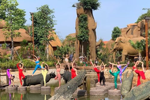 Phạt 15 triệu đồng đối với Công ty tổ chức cuộc thi Nữ hoàng Yoga Việt Nam