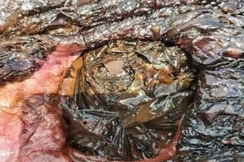 Tất cả chúng ta cần thay đổi cách sống của mình