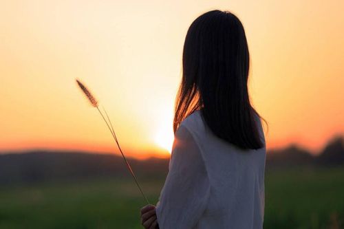Bị mẹ chồng dạy dỗ bằng cái tát, nàng dâu hành xử bất ngờ