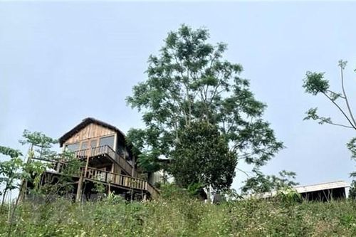 Khó đánh giá về dịch vụ ăn uống tại farmstay Nẫu Ecovalley