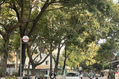Nhiều đường phố Buôn Ma Thuột 'quên' kẻ vạch phân làn