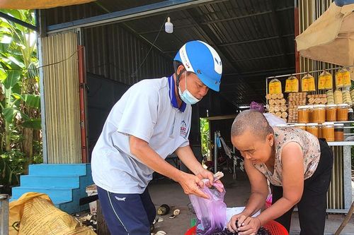 Rộ mùa trâm chín