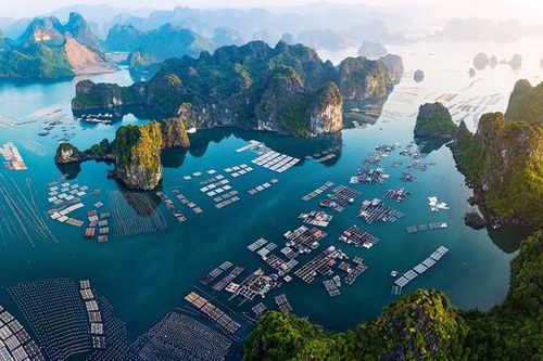 Hoàn thiện chính sách hỗ trợ để phát triển bền vững kinh tế biển