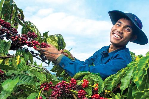 Bài 1: Agribank - một phần không thể thiếu của 'tam nông'