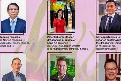 Thúc đẩy xuất khẩu thanh long sang thị trường Australia và New Zealand
