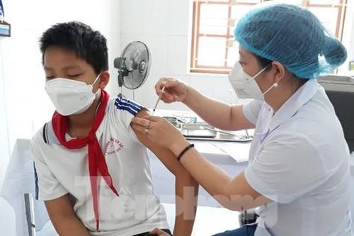Sở Y tế Thái Bình đề xuất xử lý doanh nghiệp trì hoãn tiêm mũi 4 cho công nhân, người lao động