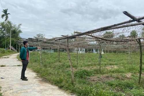 Nhiều địa phương ra cảnh báo trước tình trạng sốt đất ảo