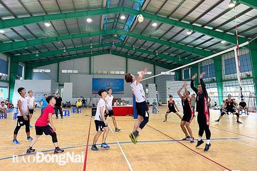 7 đội bóng tham dự giải vô địch bóng chuyền Đại hội TDTT tỉnh