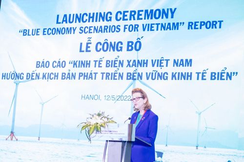 Kinh tế biển Việt Nam trước kịch bản đại dương 'có nhiều nhựa hơn cá'