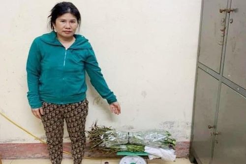 Người phụ nữ bị khởi tố vì bán cây thuốc phiện ngâm rượu