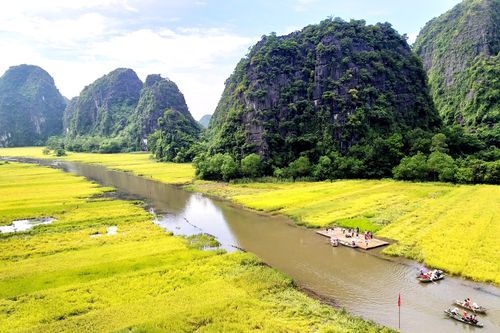 Ngắm sắc vàng Tam Cốc- Tràng An