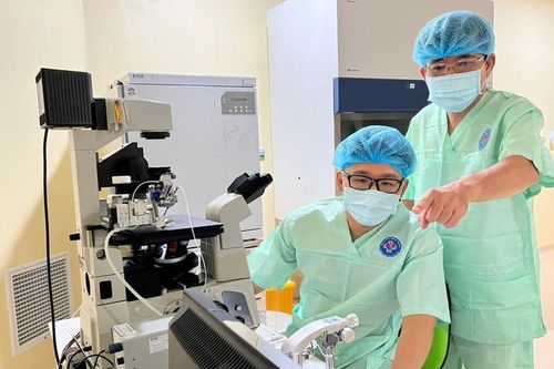 Ghép trứng non và tinh tử - đột phá trong điều trị hiếm muộn
