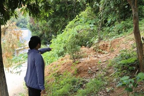 Lào Cai: Thua kiện, Chủ tịch TP Lào Cai bị 'cưỡng chế' thi hành án