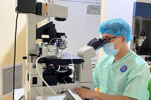 Bác sĩ Việt Nam chữa vô sinh cho 2 người không có tinh trùng
