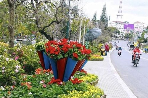 Sắc cầu vồng Cam Ly
