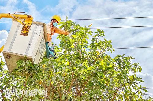 Đảm bảo an toàn điện thời điểm giao mùa