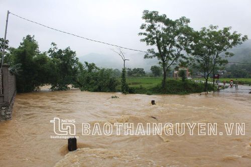Chủ tịch UBND tỉnh chỉ đạo: Chủ động sẵn sàng ứng phó với mưa lũ