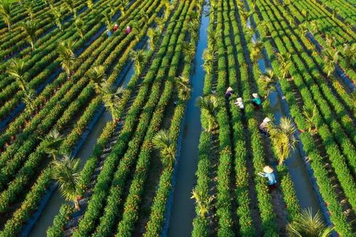 Ngày quốc tế Đa dạng sinh học 2022: 'Xây dựng một tương lai chung cho mọi sự sống'