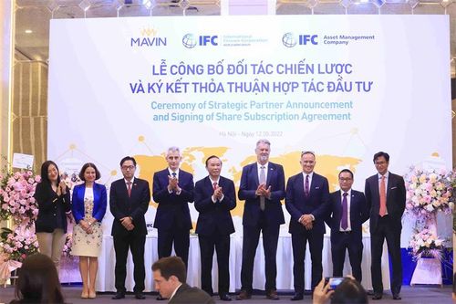 IFC rót 52 triệu USD vào Mavin để chăn nuôi heo bền vững tại Việt Nam
