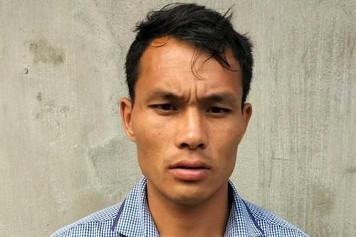 Lai Châu: Bắt giữ đối tượng vận chuyển 2 cá thể gấu trái phép
