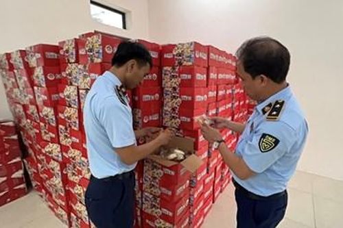 Tạm giữ hàng nghìn thùng bánh bông lan nghi nhập lậu