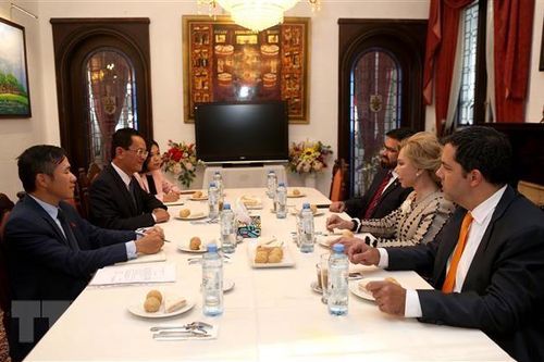Việt Nam và Paraguay tăng cường hợp tác, giao lưu về văn hóa