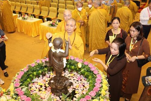 Ninh Bình: Tổ chức long trọng Đại lễ Phật đản, Phật lịch năm 2566