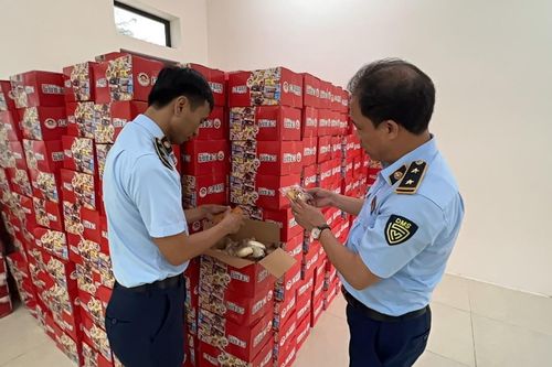 Tạm giữ hàng nghìn thùng bánh bông lan, táo đỏ, nho khô nghi nhập lậu