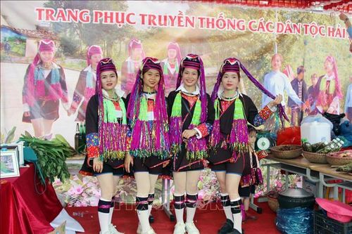 Lễ hội 'Hoa sim biên giới' ở thành phố vùng biên Móng Cái