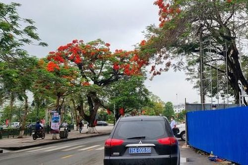 Hải Phòng: Động thổ công trình hơn 6000 tỉ trên nền chợ Sắt cũ