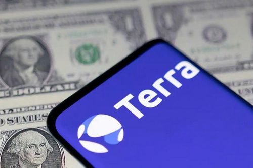 Cổ phiếu tiền mã hóa chao đảo sau cú rơi của Terra