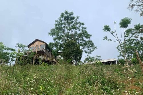 Tiếp bài 'Kiểm tra, làm rõ giá 'trên trời' Farmstay Nẫu Ecovalley': Yêu cầu dừng hoạt động kinh doanh chưa đủ điều kiện