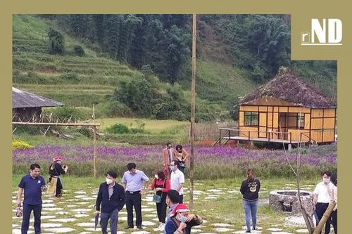 Khi công nghệ mở ra cơ hội…