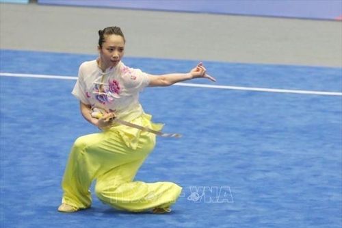 Wushu Việt Nam giành 10 trên tổng số 21 HCV các nội dung thi đấu