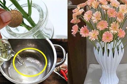 Cắm hoa đừng vội đổ nước lã vào bình, thêm thứ này là hoa để cả tuần vẫn tươi rói