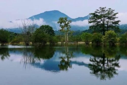 Mâu thuẫn trong lúc chăn nuôi trâu bò, đối tượng đâm 1 người tử vong ở vườn quốc gia